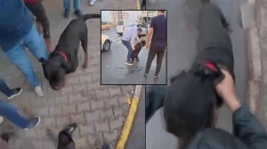 agizliksiz-gezdirilen-kopek-once-kadina-sonra-kuryeye-saldirdi-7Z6vLdjs.jpg
