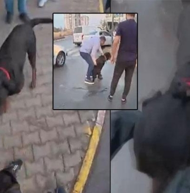 agizliksiz-gezdirilen-kopek-once-kadina-sonra-kuryeye-saldirdi-7Z6vLdjs.jpg