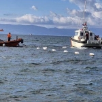bodrum-aciklarinda-facia-17-kisi-oldu-17-supheli-gozaltinda-PPQrcazX.jpg