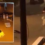 izmir-ve-manisada-sel-ev-ve-is-yerlerini-su-basti-suruculer-yolda-kaldi-vgPc6N4E.jpg