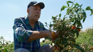 londradaki-lokantalarini-birakip-memleketinden-bin-donum-arazi-aldi-nisandan-eylule-kadar-uretip-kazaniyoruz-pxMIlBbF.jpg