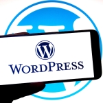 wordpress-krizin-esiginde-mullenweg-ile-wp-engine-arasindaki-hukuki-mucadele-buyuyor-BIMzCLub.jpg