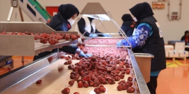 dondurulmus-meyve-ve-sebzede-2026da-200-milyon-dolar-ihracat-hedefi-GZY63it5.jpg