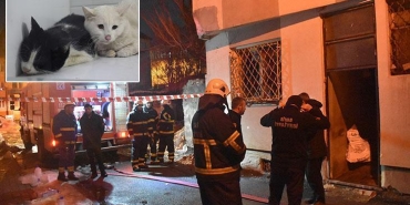 sivasta-kedilerin-beslendigi-evde-yangin-cikti-26-kedi-oldu-lzvZslwN.jpg